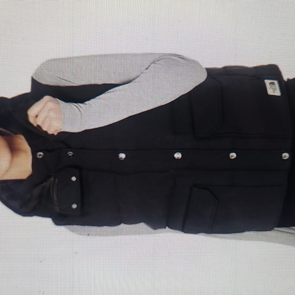 The North Face Down Sierra Vest - Picture 4 of 10